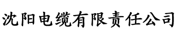 久久综合无码中文字幕无码电缆厂logo